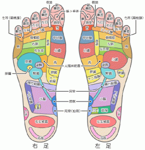 足裏の反射区